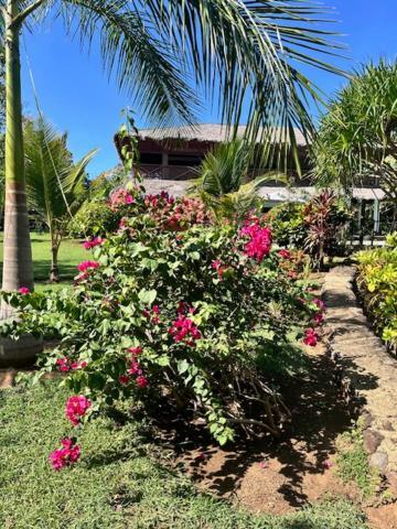Villa Milena นูซีเบ ภายนอก รูปภาพ